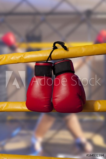 Picture of Red boxing gloves hangs off the boxing ring